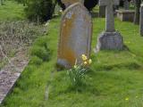 image of grave number 788601